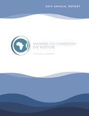 MICEI Annual Report 2019